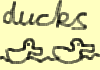 [Some ducks]